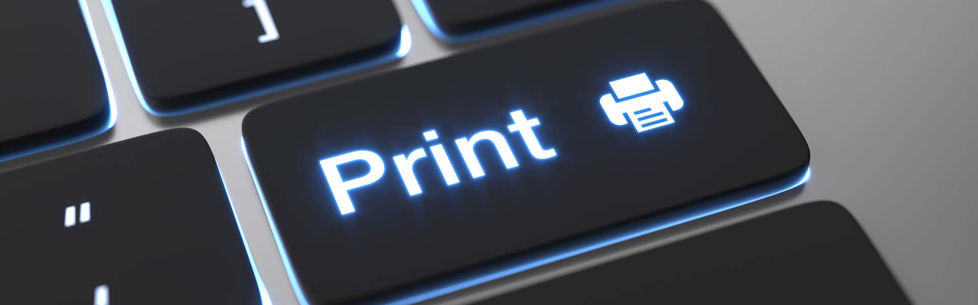 El web to print de Artyplan