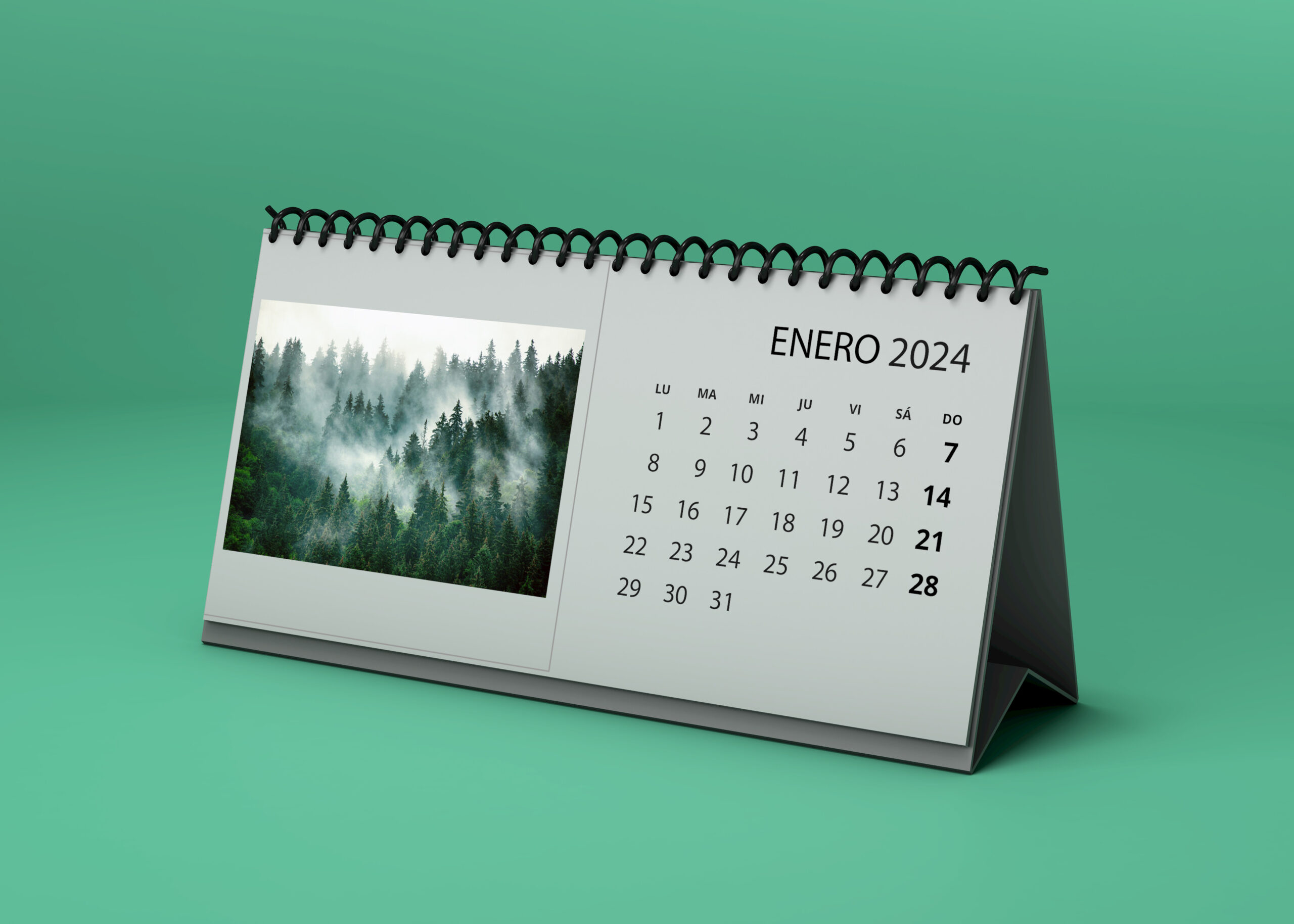 calendar wire-o