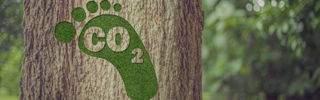 printing carbon footprint, print carbon footprint