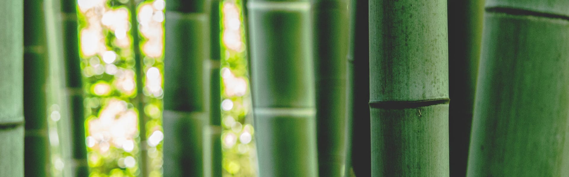 display-ecologico|xbanner-wood