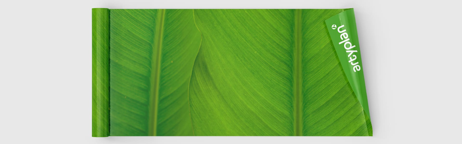 vinilos verde ecológico|escaparate con vinilo de corte ecológico